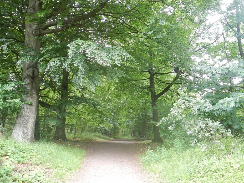 Walk of Peace in Enkhuizen