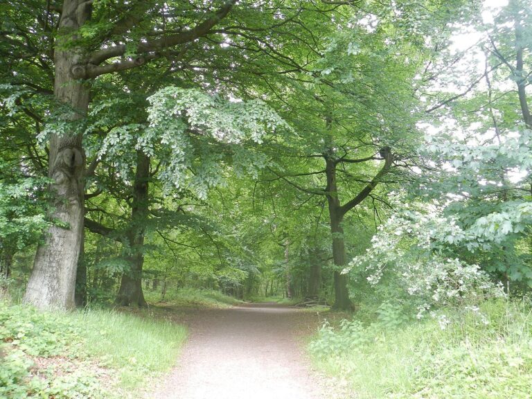 Walk of Peace — natuur in Enkhuizen